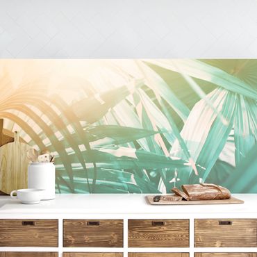 Kitchen wall cladding - Tropical Plants Palm Trees At Sunset