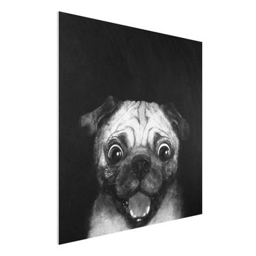 Print on forex - Illustration Dog Pug Painting On Black And White