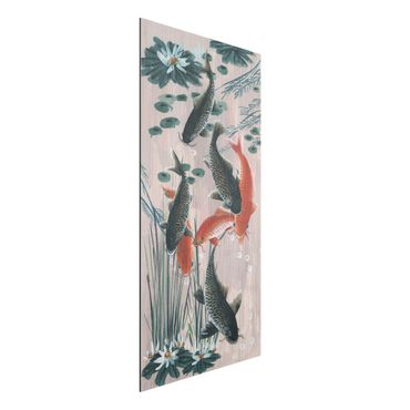 Print on aluminium - Asian Painting Koi In Pond II