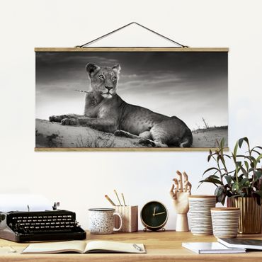 Fabric print with poster hangers - Resting Lion