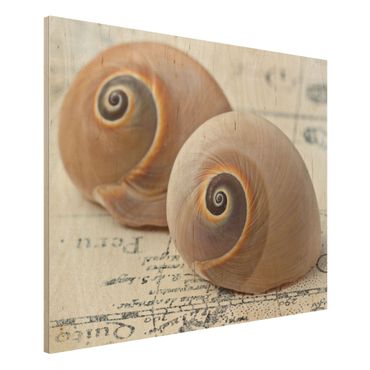 Print on wood - Shell Duo