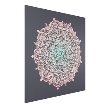 Print on forex - Mandala Ornament In Rose And Blue