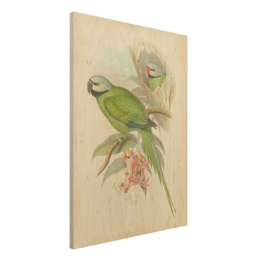 Print on wood - Vintage Illustration Tropical Birds II