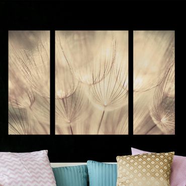 Print on canvas 3 parts - Dandelions Close-Up In Cozy Sepia Tones