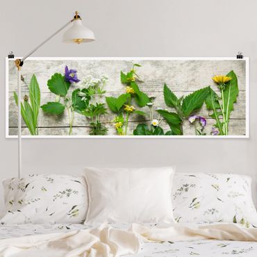 Panoramic poster kitchen - Medicinal and Meadow Herbs