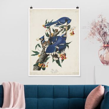Poster - Vintage Board Blue Jays