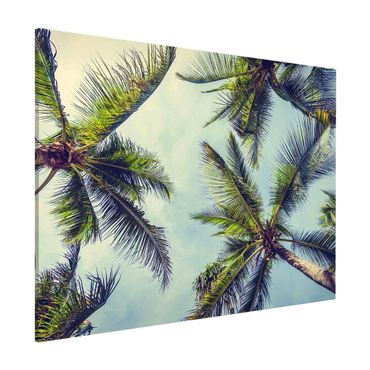 Magnetic memo board - The Palm Trees