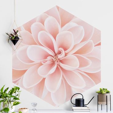 Self-adhesive hexagonal pattern wallpaper - Dahlia In Pastel Pink
