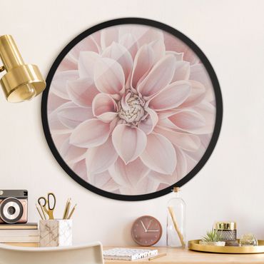 Circular framed print - Dahlia In Powder Pink