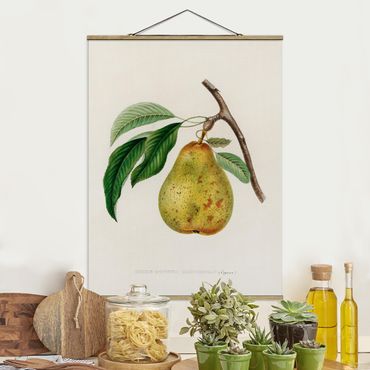Fabric print with poster hangers - Botany Vintage Illustration Yellow Pear