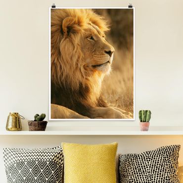 Poster animals - King Lion