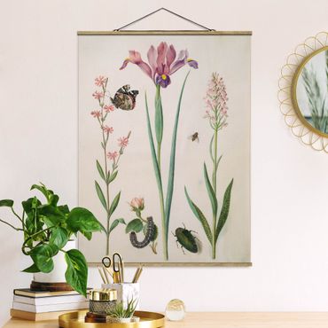Fabric print with poster hangers - Anna Maria Sibylla Merian - Rock Lychnis And Rose