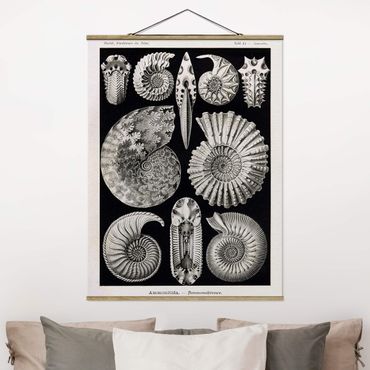 Fabric print with poster hangers - Vintage Board Fossils Black And White