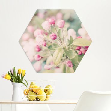 Hexagon Picture Forex - Apple Blossom Pink Bokeh