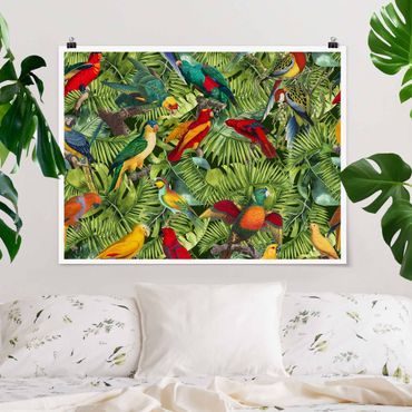 Poster - Colourful Collage - Parrots In The Jungle