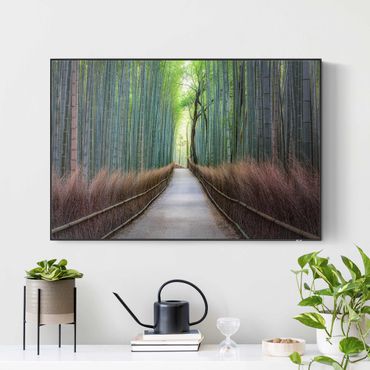 Print with acoustic tension frame system - The Path Through The Bamboo