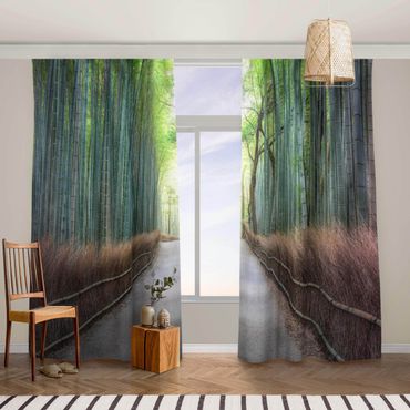 Curtain - The Path Through The Bamboo