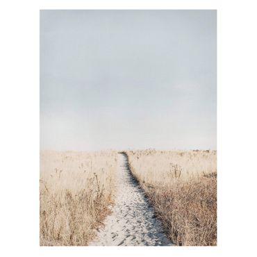 Print on canvas - The path to the beach - Portrait format 3:4