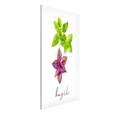 Magnetic memo board - Herbs Illustration Basil