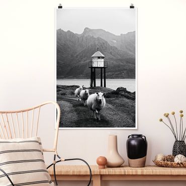Poster - Three Sheep On the Lofoten