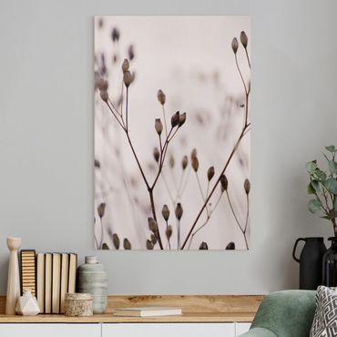 Canvas print - Dark Buds On Wild Flower Twig