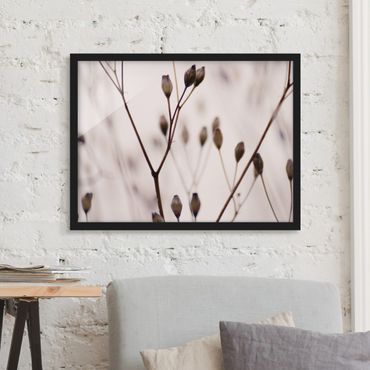 Framed poster - Dark Buds On Wild Flower Twig