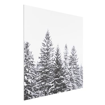 Print on forex - Dark Winter Landscape - Square 1:1