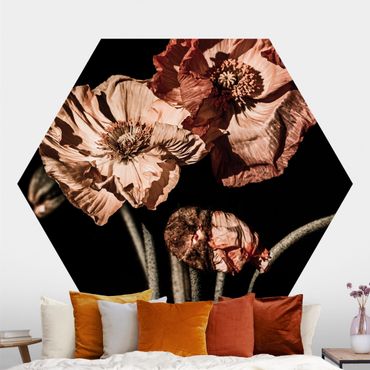 Self-adhesive hexagonal pattern wallpaper - Dark Spring
