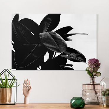 Print on canvas - Rubber Tree Black And White