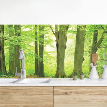 Kitchen wall cladding - Mighty Beech Trees