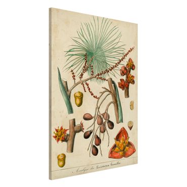 Magnetic memo board - Vintage Board Exotic Palms III