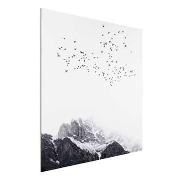 Alu-Dibond print - Flock Of Birds In Front Of Mountains Black And White