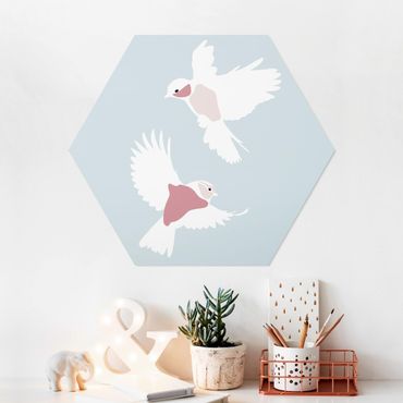 Forex hexagon - Line Art Pigeons Pastel