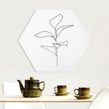 Forex hexagon - Line Art Plant Leaves Black And White