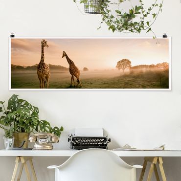 Panoramic poster animals - Surreal Giraffes