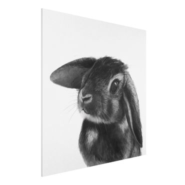 Print on forex - Illustration Rabbit Black And White Drawing