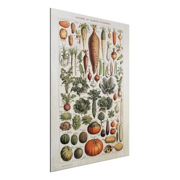 Print on aluminium - Vintage Board Vegetables