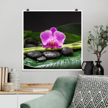 Poster - Green Bamboo With Orchid Flower