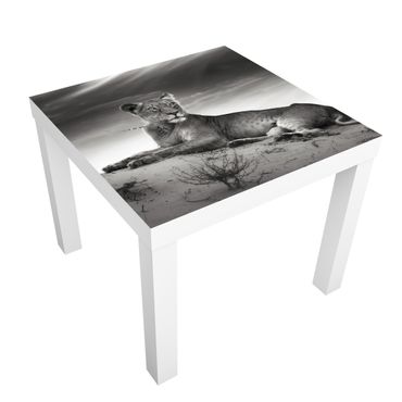 Adhesive film for furniture IKEA - Lack side table - Resting Lion