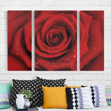 Print on canvas 3 parts - Red Rose With Water Drops