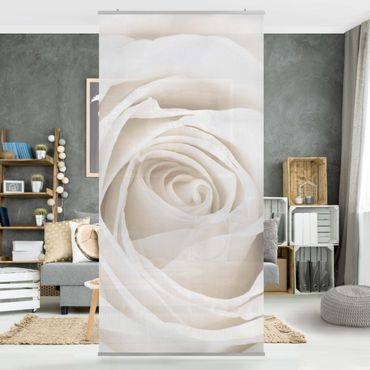 Room divider - Pretty White Rose