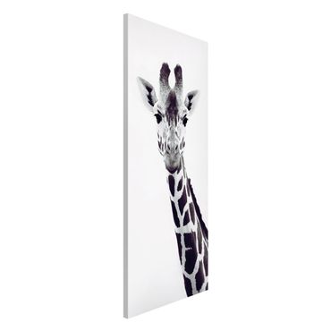 Magnetic memo board - Giraffe Portrait In Black And White