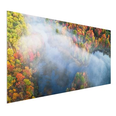 Forex print - Aerial View - Autumn Symphony