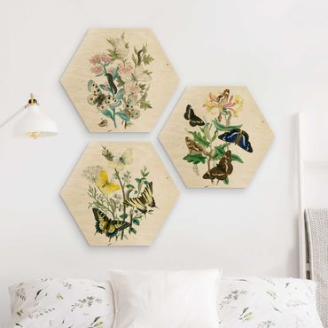 Wooden hexagon - British Butterflies Set I