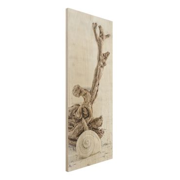 Print on wood - White Snail Shell And Root Wood