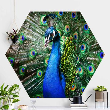 Self-adhesive hexagonal pattern wallpaper - Noble Peacock
