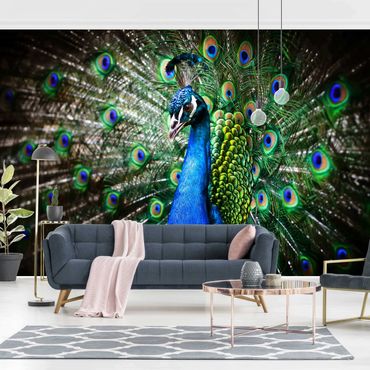 Wallpaper - Noble Peacock