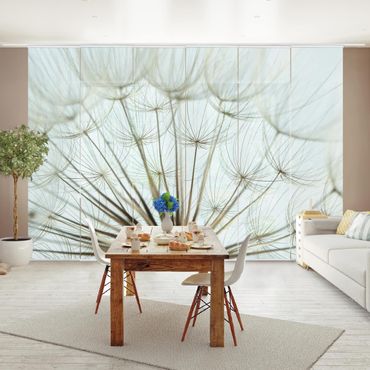Sliding panel curtains set - Beautiful dandelion macro shot