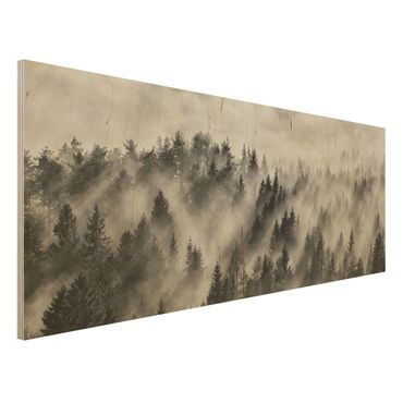 Wood print - Light Rays In The Coniferous Forest