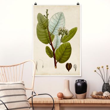 Poster flowers - Deciduous Tree Poster I